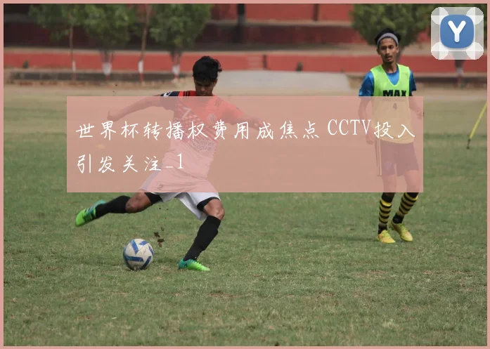 世界杯转播权费用成焦点 CCTV投入引发关注_1