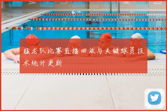 猛龙队比赛直播回放与关键球员技术统计更新