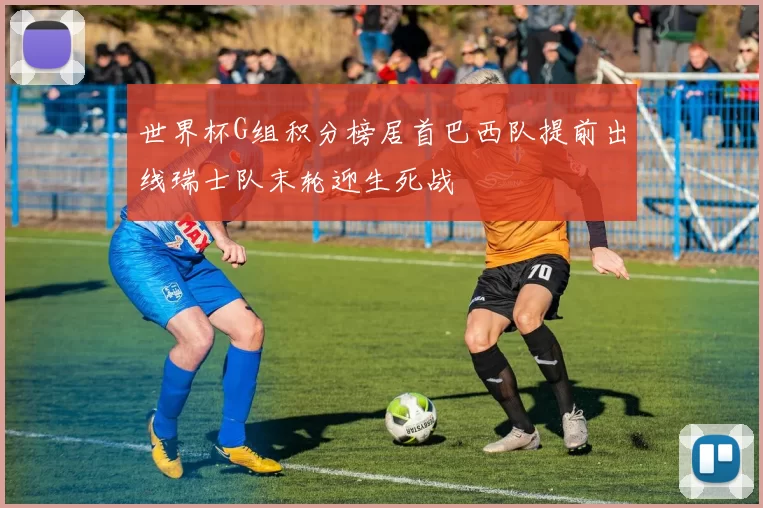 世界杯G组积分榜居首巴西队提前出线瑞士队末轮迎生死战