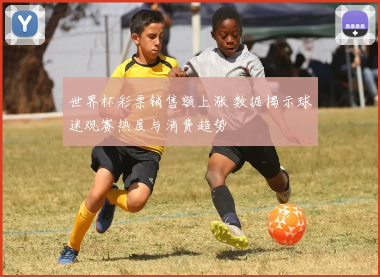世界杯彩票销售额上涨 数据揭示球迷观赛热度与消费趋势