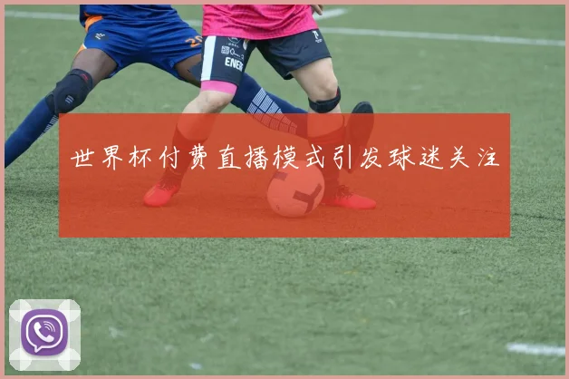 世界杯付费直播模式引发球迷关注