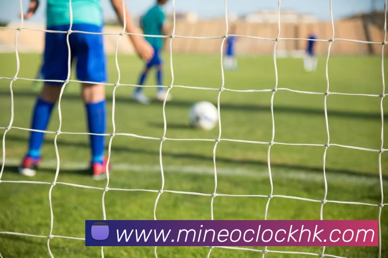 App Interface Preview